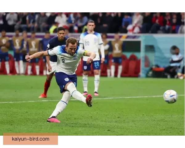 哈里·凯恩点球不失纪录