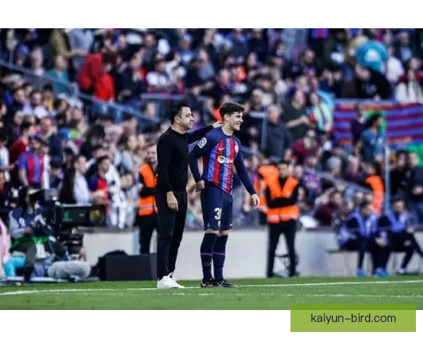 加维与哈维相似点