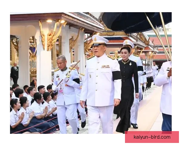 坦巴克蒂在近期比赛中的影响力持续提升，引发外界关注。