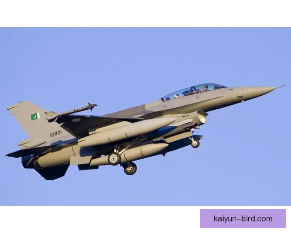 斯洛伐克鹰军团近期表现稳健,状态回暖备受关注 斯洛伐克鹰军团近期表现稳健,状态回暖备受关注